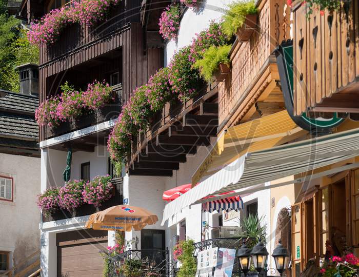 Colourful Pink Geraniums On A House In Hallstatt