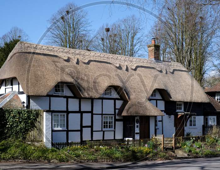 View Of A Thatched Cottage In Micheldever Hampshire