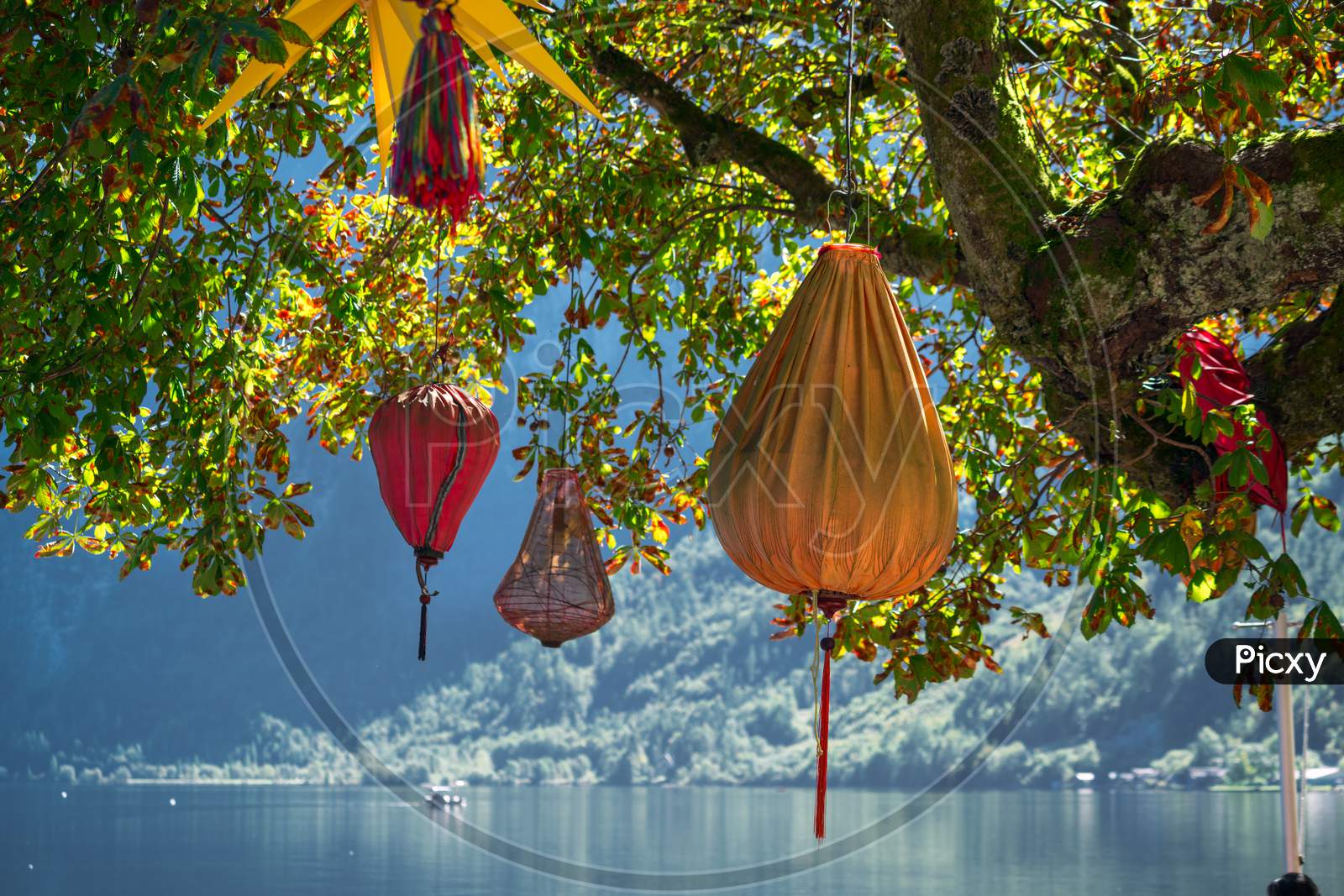 Chinese Lanterns Hanging From A Tree In Hallstatt