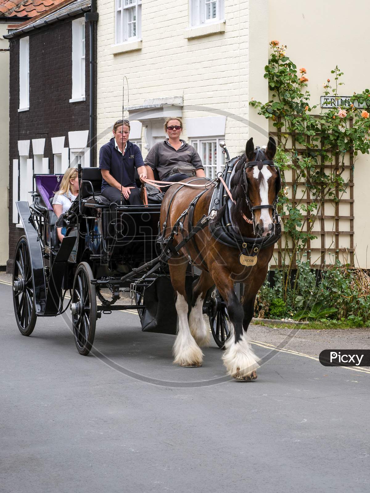 People Enjoying A Horse And Carriage Ride Through Southwold