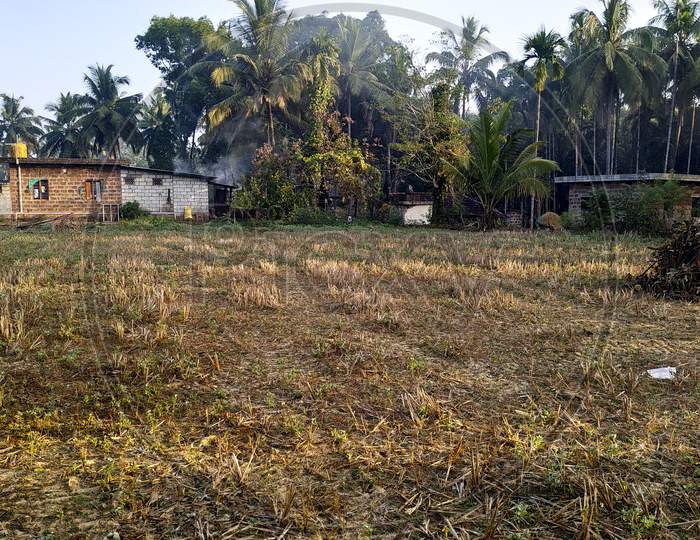 House And Agriculture Land In Village