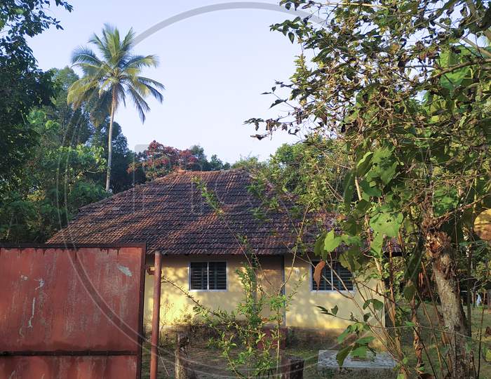 Pure Village House In Mangalore Forest