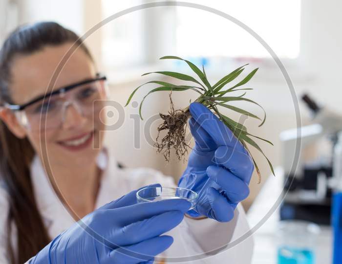 Biologist Holding Seedling Above Glass For Test