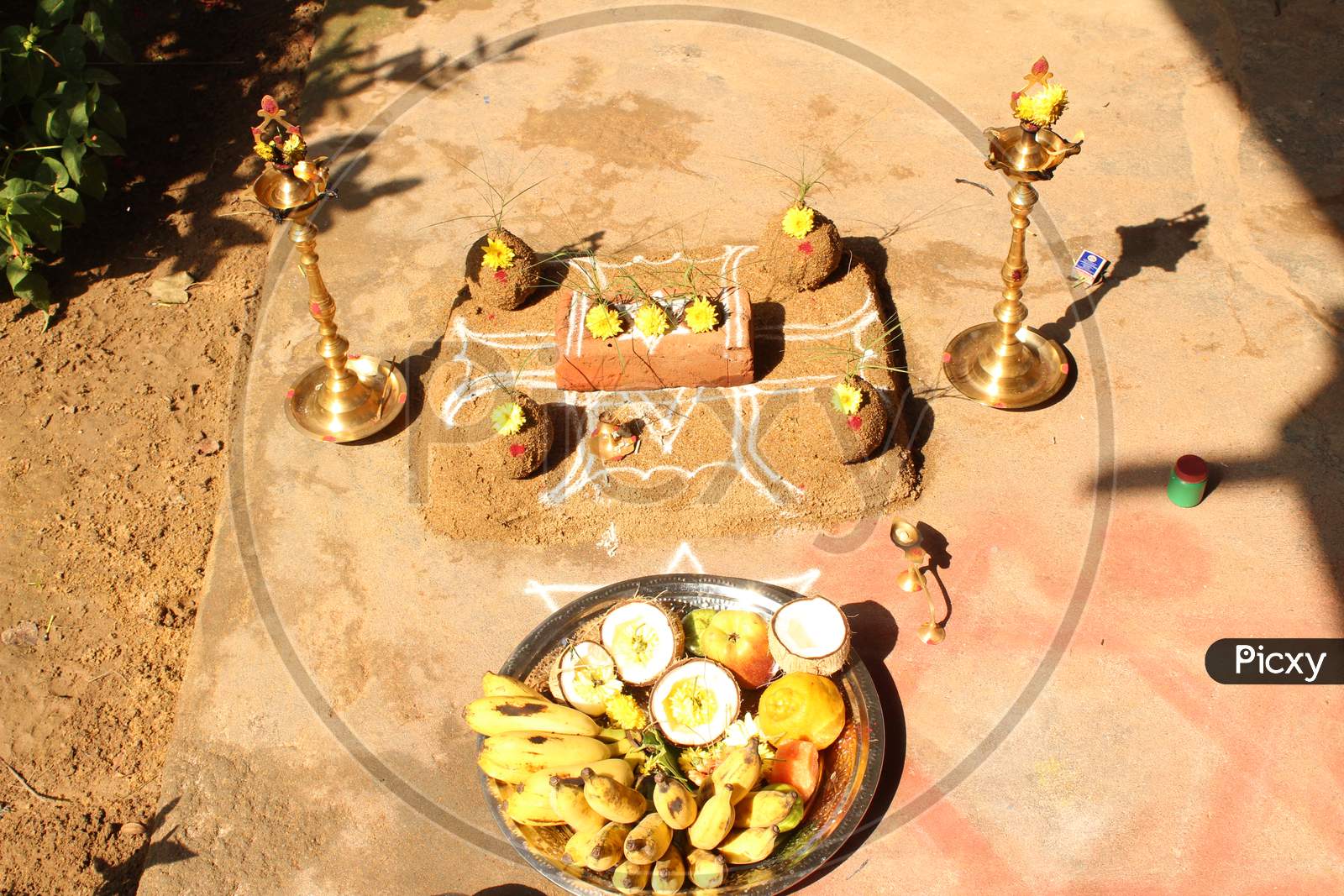 Celebrating Traditional Thai Pongal Festival To Sun God With Pot, Lamp,Wood Fire Stove, Fruits And Sugarcane