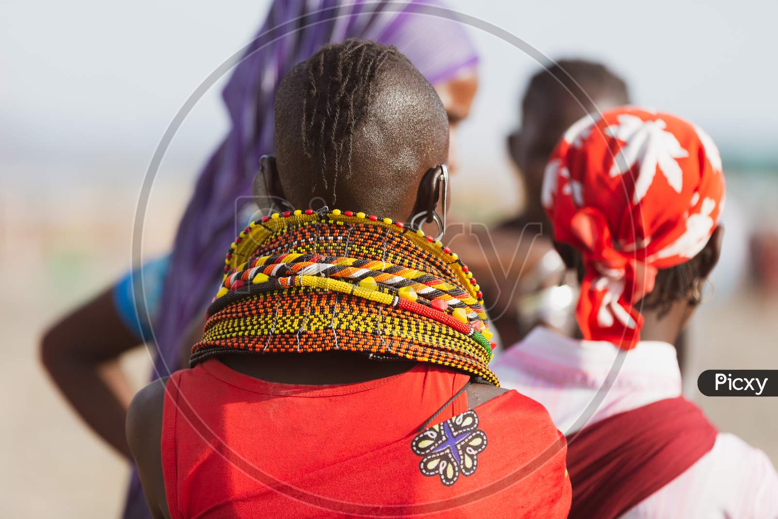 Turkana Woman Wearing The Hand Made Bead Traditional Jewerly