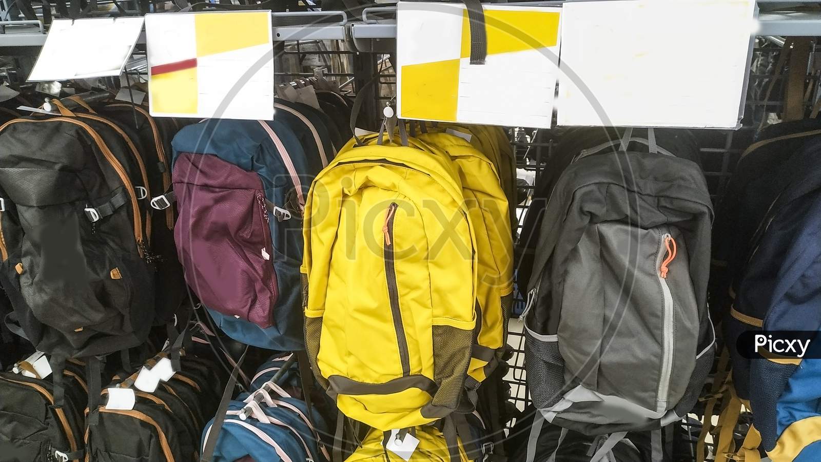 Sports Backpack Bag For Men & Women In Mall Retail Showroom Mumbai