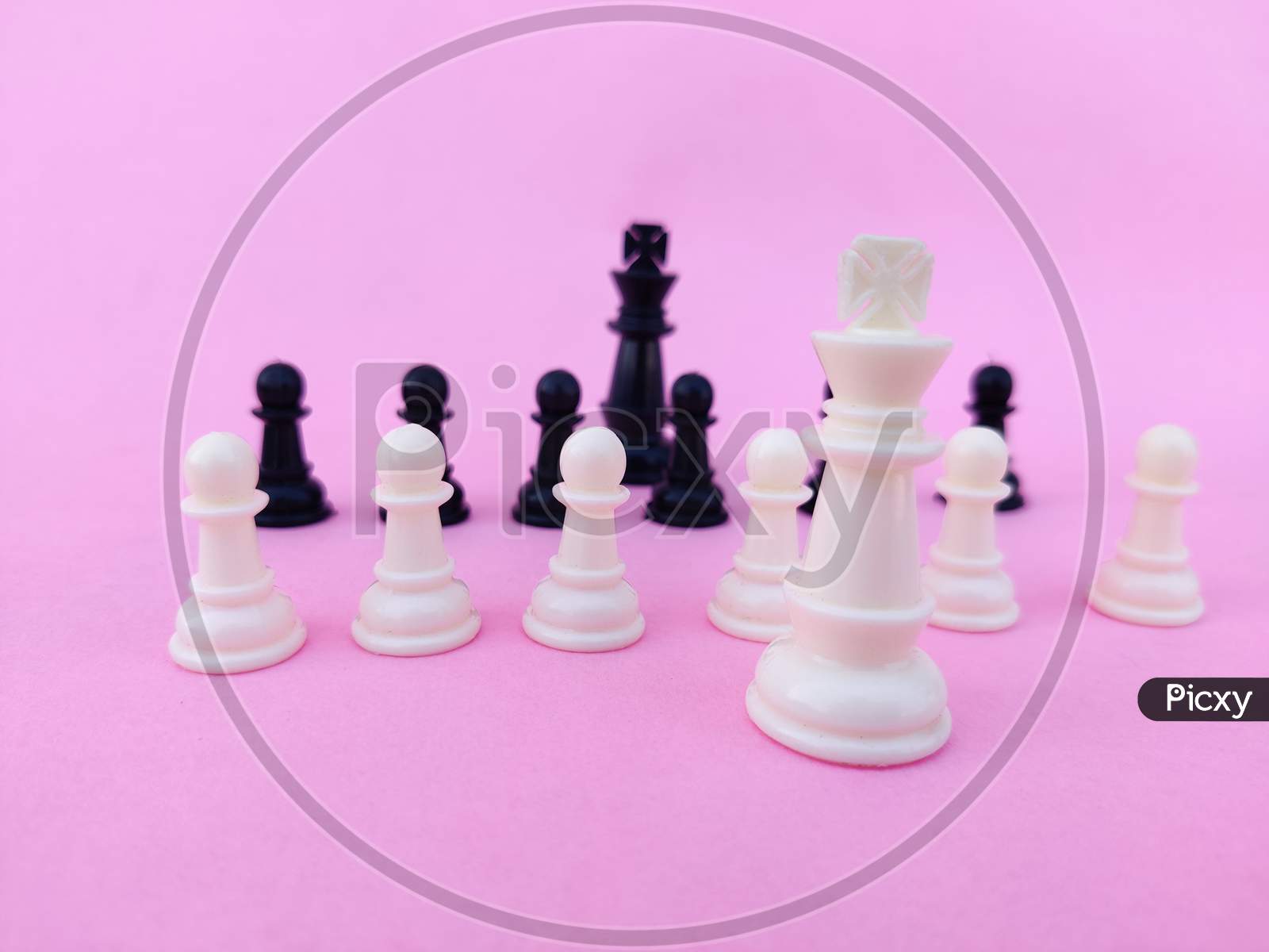 Black Chess Pieces Like King,Pawn And White Chess Pieces Like King And Pawn .Isolated On Pink Background.