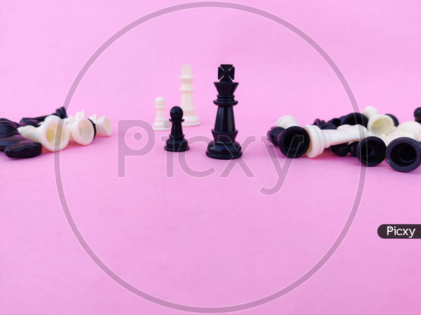 Black Chess King,Pawn And White Chess King,Pawn Surrounded By Number Of Fallen Chess Pieces.Isolated On Pink Background.