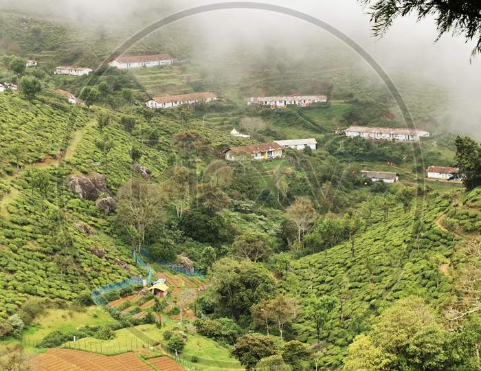 Nilgiri Tea Estate Valley with houses in Kinnakorai,Tamilnadu,India.