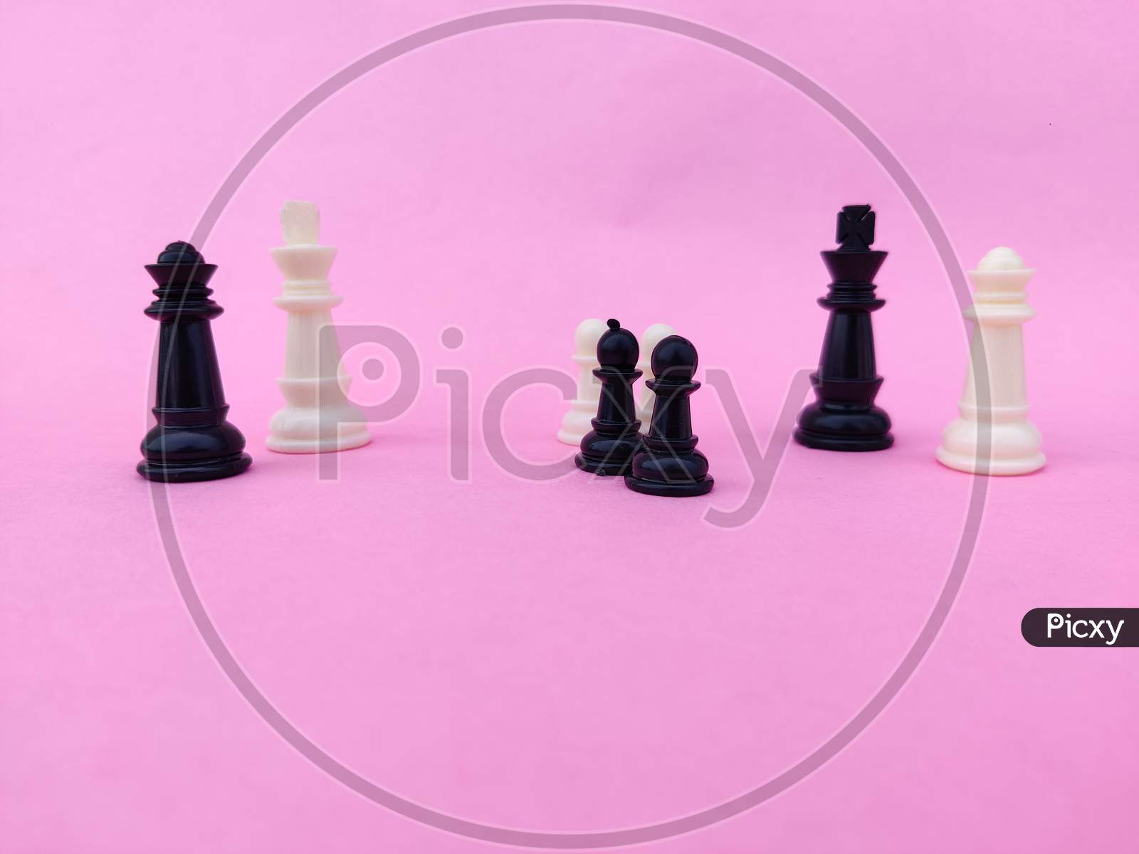 Black And White Chess King,Queen Separated By Black And White Pawns. Isolated On Pink Background.