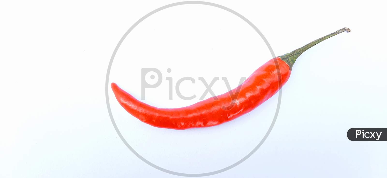 Chili Hot Spicy Red Fresh White Background