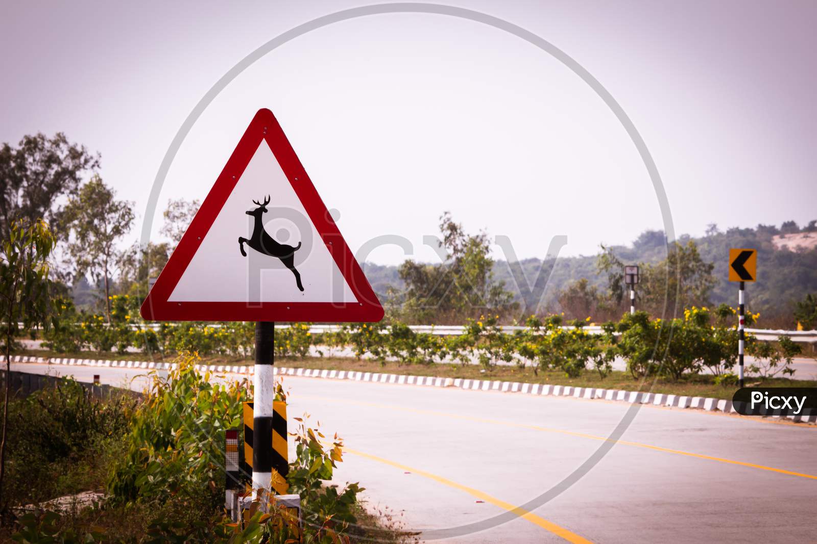 Indian Road Sign Indicating Deer Crossing. Sign Indicating To Watch Out For Wildlife Like Deer As The Road Pass Through Reserve Forest