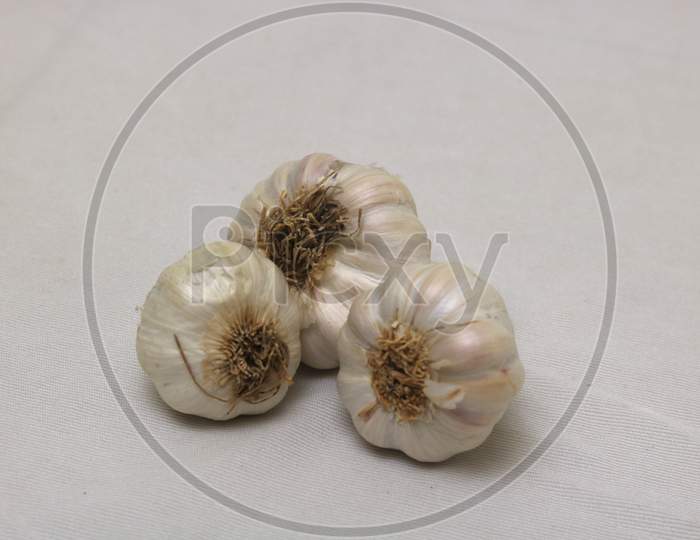 This is image of garlic on white background.