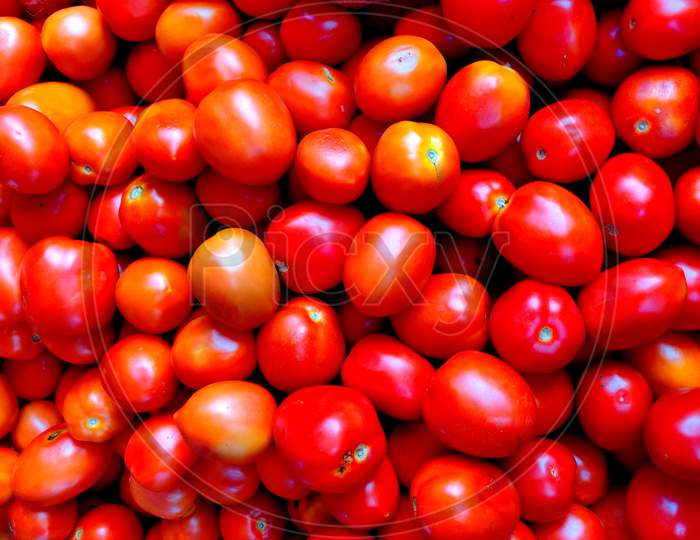 A Basket Full Of The Red Tomatoes, It Is The Edible Berry Of The Plant Solanum Lycopersicum, Commonly Known As A Tomato Plant.