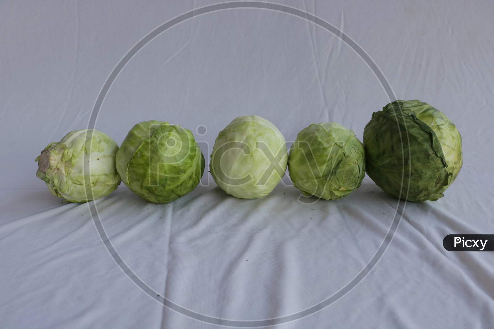 vegetable variety on white background,cabbage