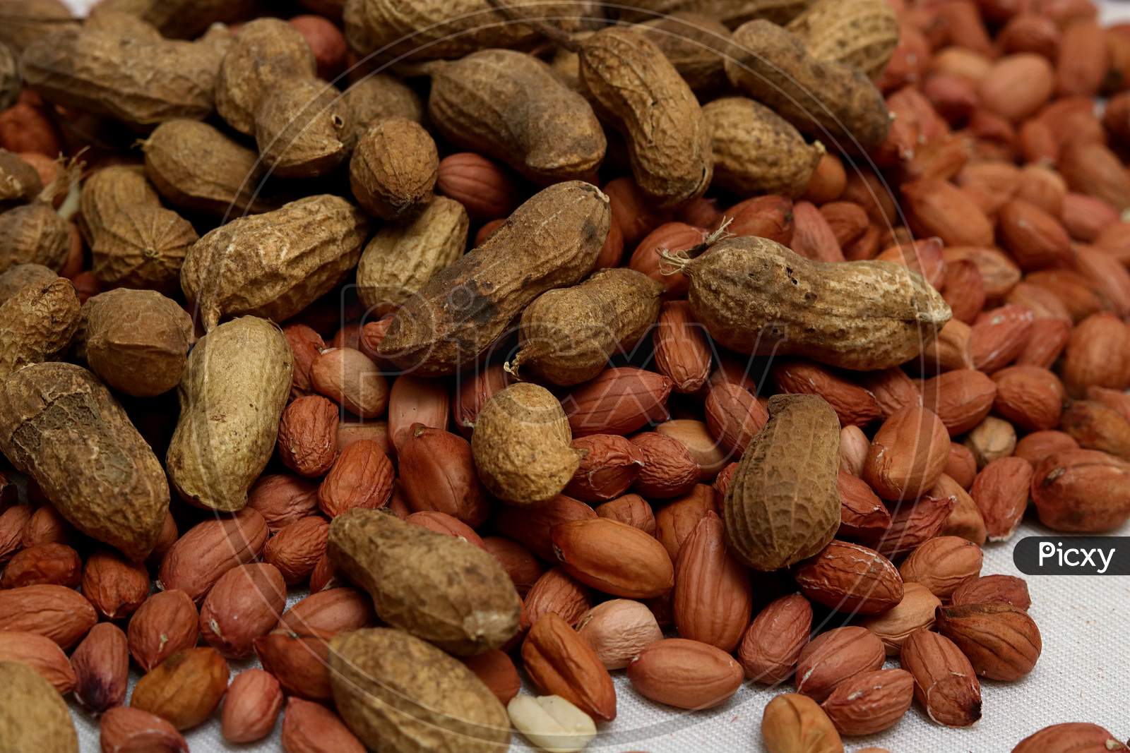 Big peanut set isolated on white background. peanut and groundnut
