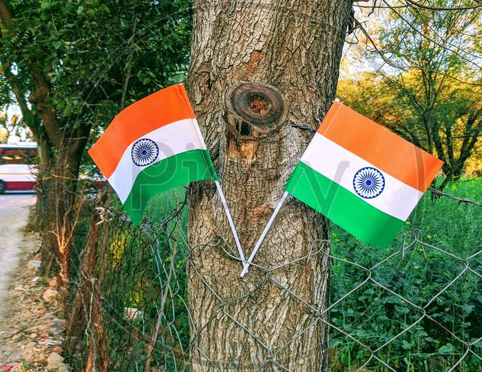 Two Independence Indian National Flag Standing On The Khejri Or Prospis Cineraria Tree With Flag Pole. Tringa With Crossing Style.