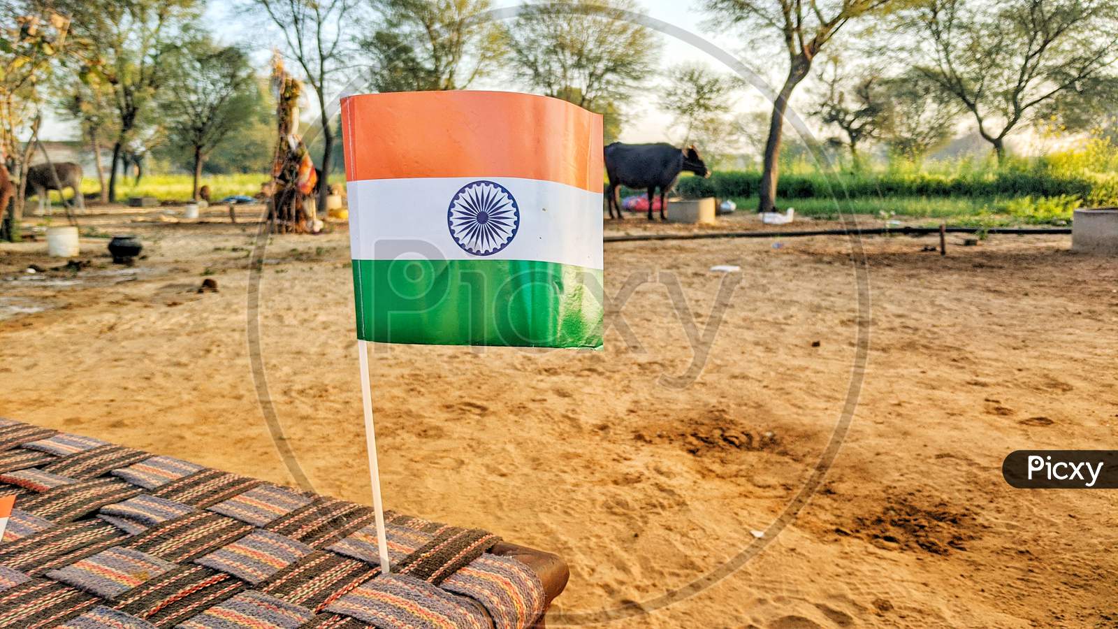 Waving Indian Flag With Flagpole And Ground Background. Beautiful Flag Standing On The Soil Ground. Victory Flag Closeup.