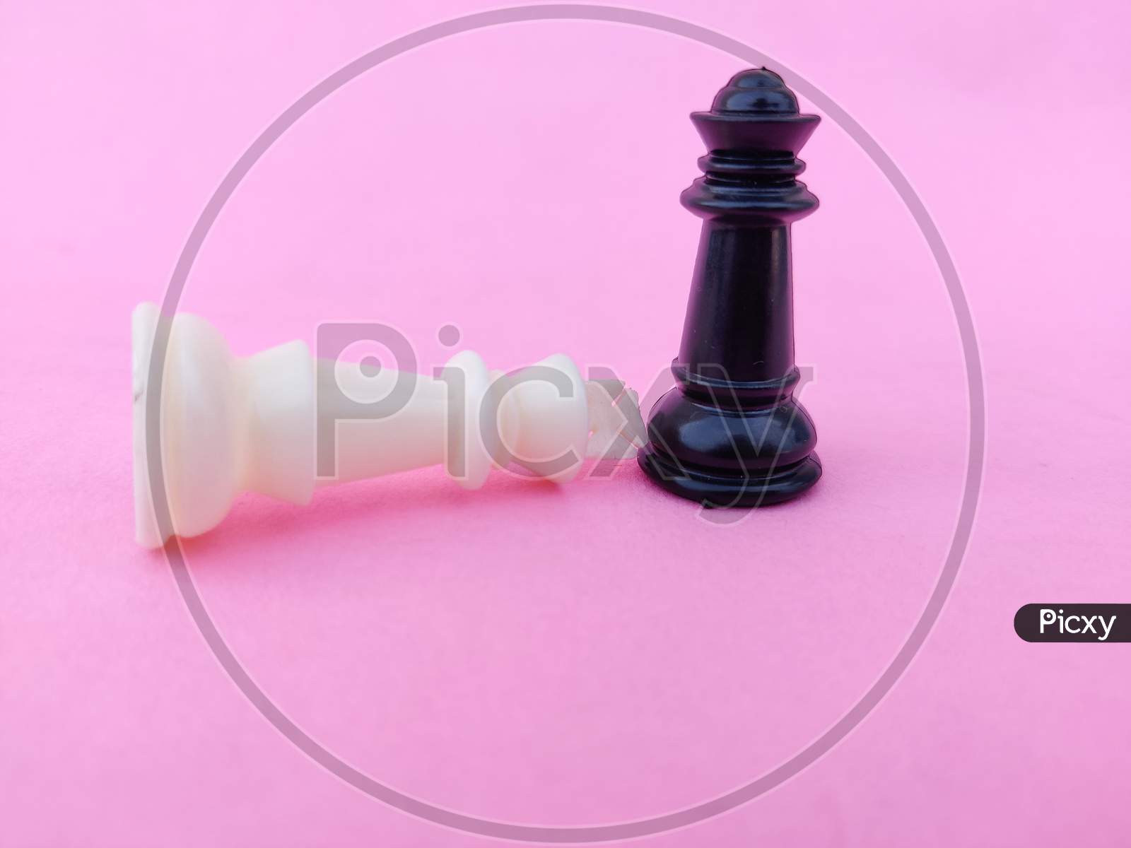 White Chess King Surrender To Black Chess Queen. Pink Background