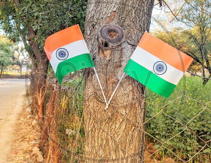 Beautiful View Of Two Tringa Or National Flag With Plastic Flagpole. Closeup Of Glorious Tricolor With 24 Spoke.