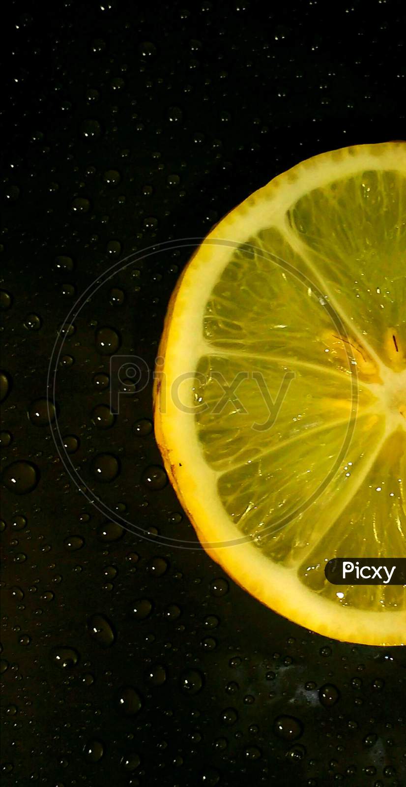 Lemmon, beautiful Lemon  slice, fresh Lemon  Lemon  water drops