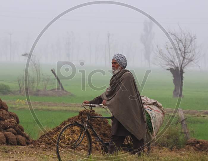 A farmer with a bicycle in his farms
