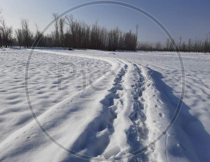 A beautiful view of snow covered field somewhere in Kashmir.