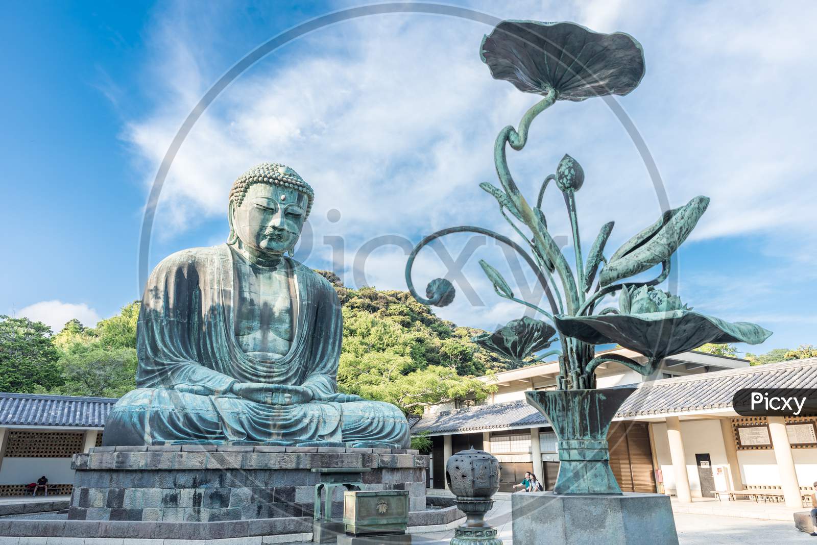 The Giant Buddha In Kamakura