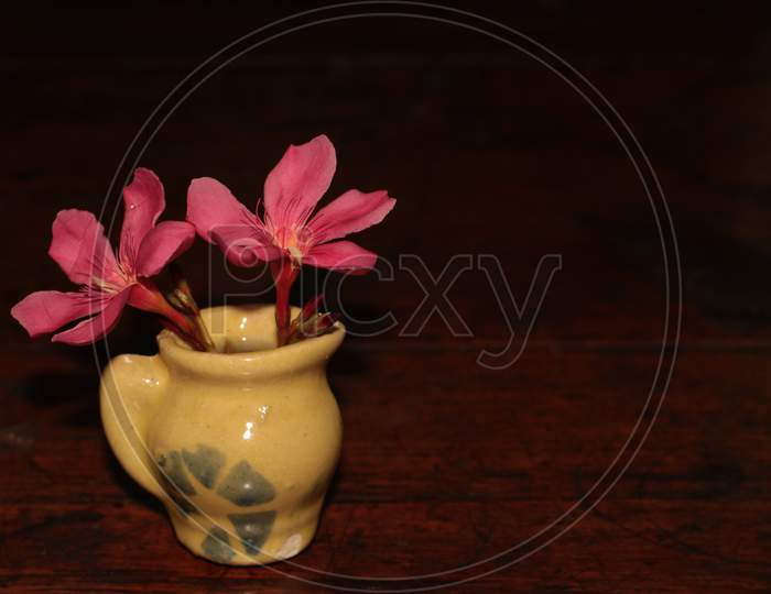 Flower Nerium oleander.  Red flower in tiny Vase. Flower Kaner. Flower Oleander, Rosebay Rose Bay, Rose-bay, Rose Laurel