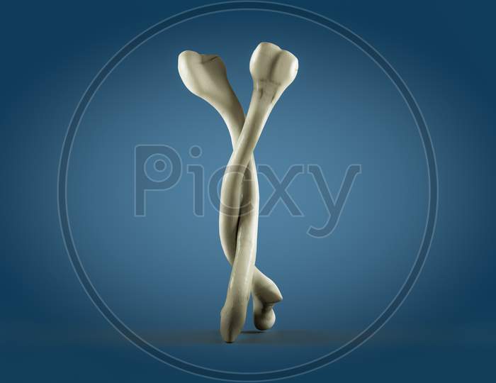 Two Human Thigh Bones Hugging Each Other. Osteoporosis World Day Or Retirement Age And Health Or Love Your Bones Concept. 3D Illustration