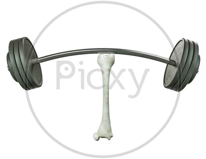 Close Up Of Human Thigh Bone Lifting Barbells In White Background. Osteoporosis World Day Or Strong Bones Or Awareness And Prevention Or Symbol Of Success And Self-Confidence Concept. 3D Illustration