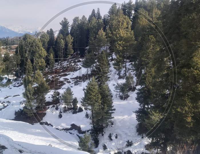 A Beautiful scene snow and trees in malam Jabba swat pakistan