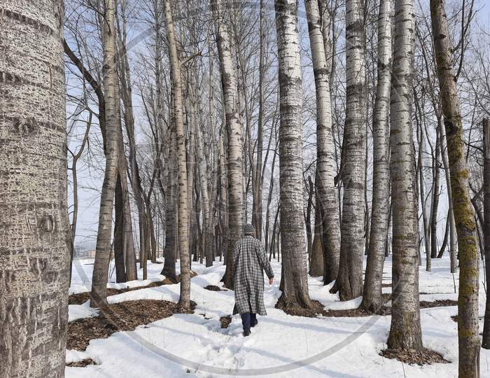 A boy walking through woods after snowfall in Kashmir.