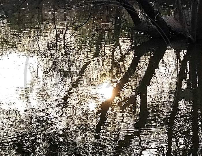 Water Sun Shadow