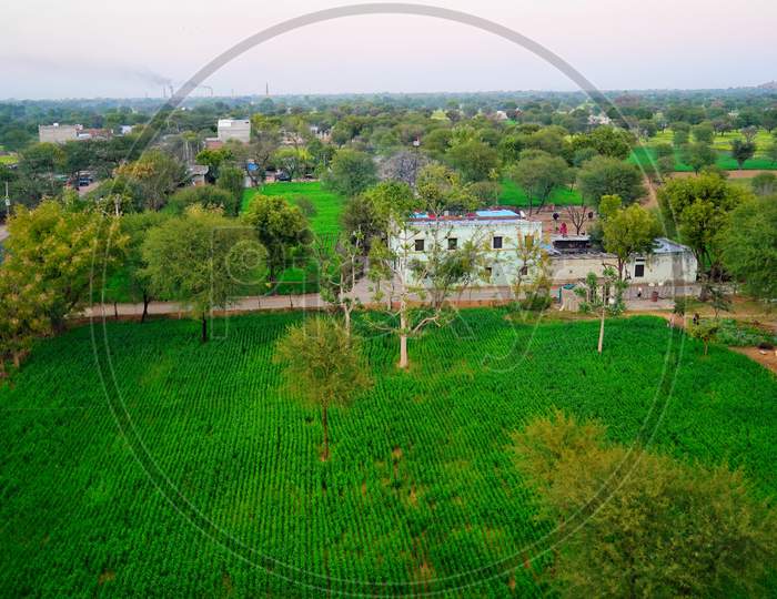 Aerial Shot Of Green Landscape And Trees And Plants. Beautiful Nature Scene With Marvelous Trees And Greenish Plants View.