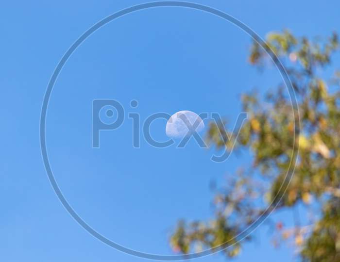 Half Moon And The Blue Skies In The Evening, Out Of Focus Tree Branches On The Side,