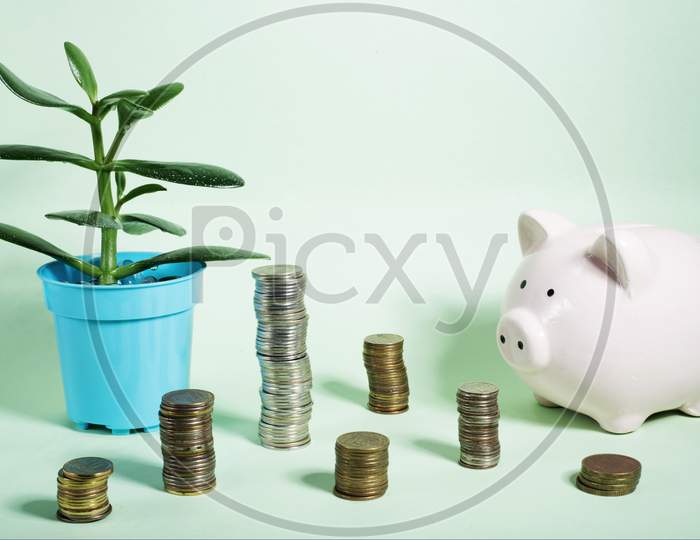 Still life from a piggy bank, coins in columns and a sprout of a money tree