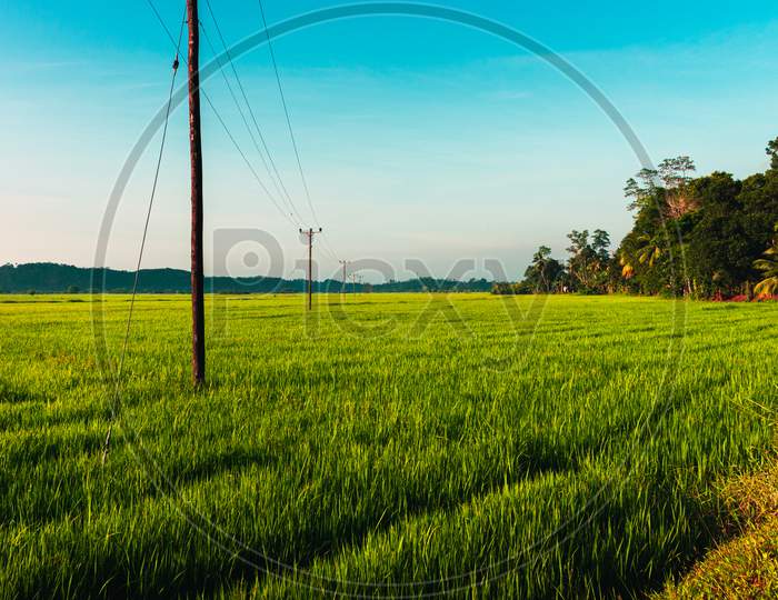 Beautiful Morning In A Rural Village And The Paddy Field Landscape Photography,