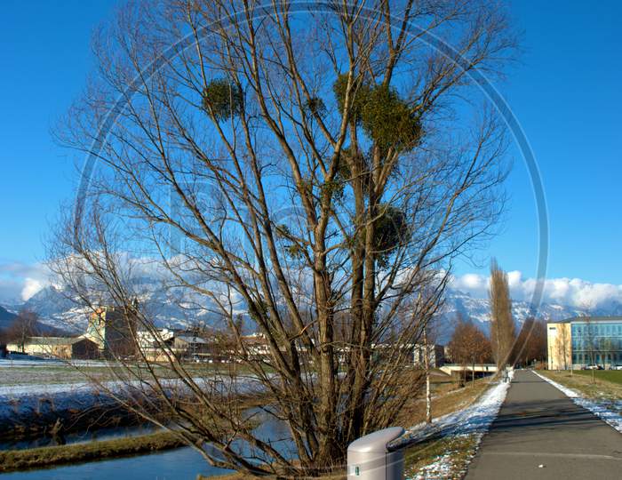 Empty Bench Next To A Tree And A Small River In Vaduz In Liechtenstein 7.1.2021