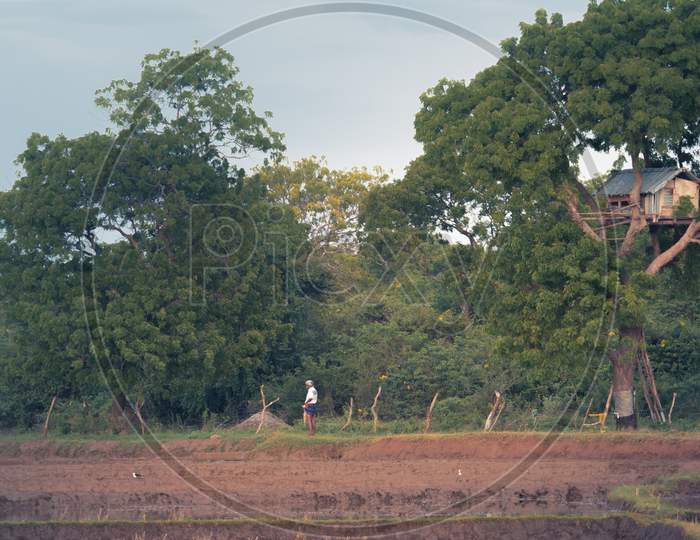 Treetop House And The Paddy Field, Rural Village Landscape View In Hambantota,