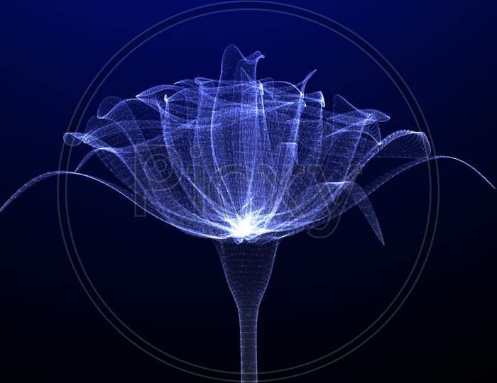 Flower With Nice Glowing Effect, Closeup View, 3D Render