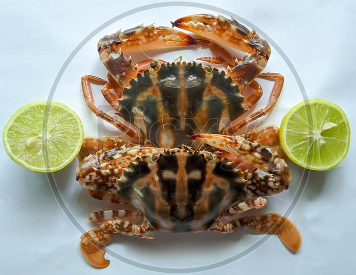 Selective Focus Of Fresh Crucifix Crab Decorated With Lemon Slice And Tomato Slice On A White Background.