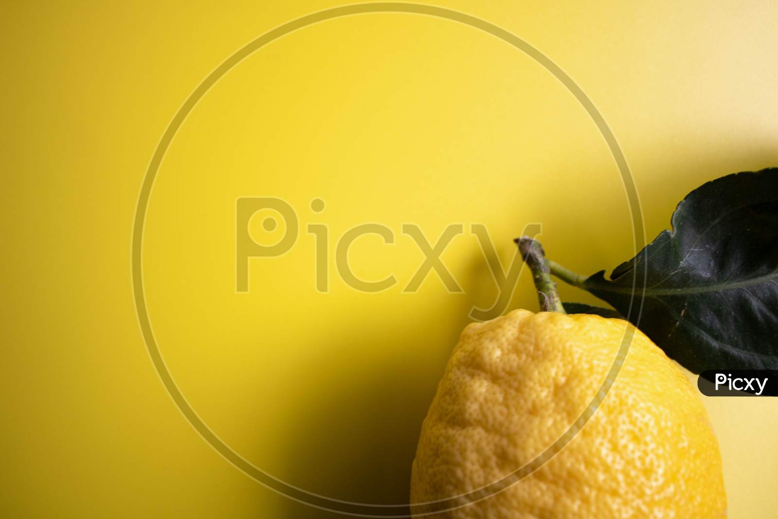 A Different Kind Of Lemon