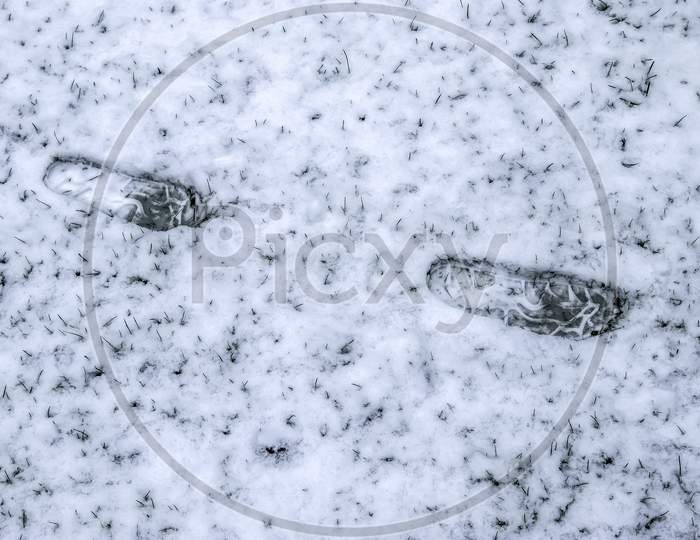 Footsteps Of Male Shoes In Fresh White Snow In Winter