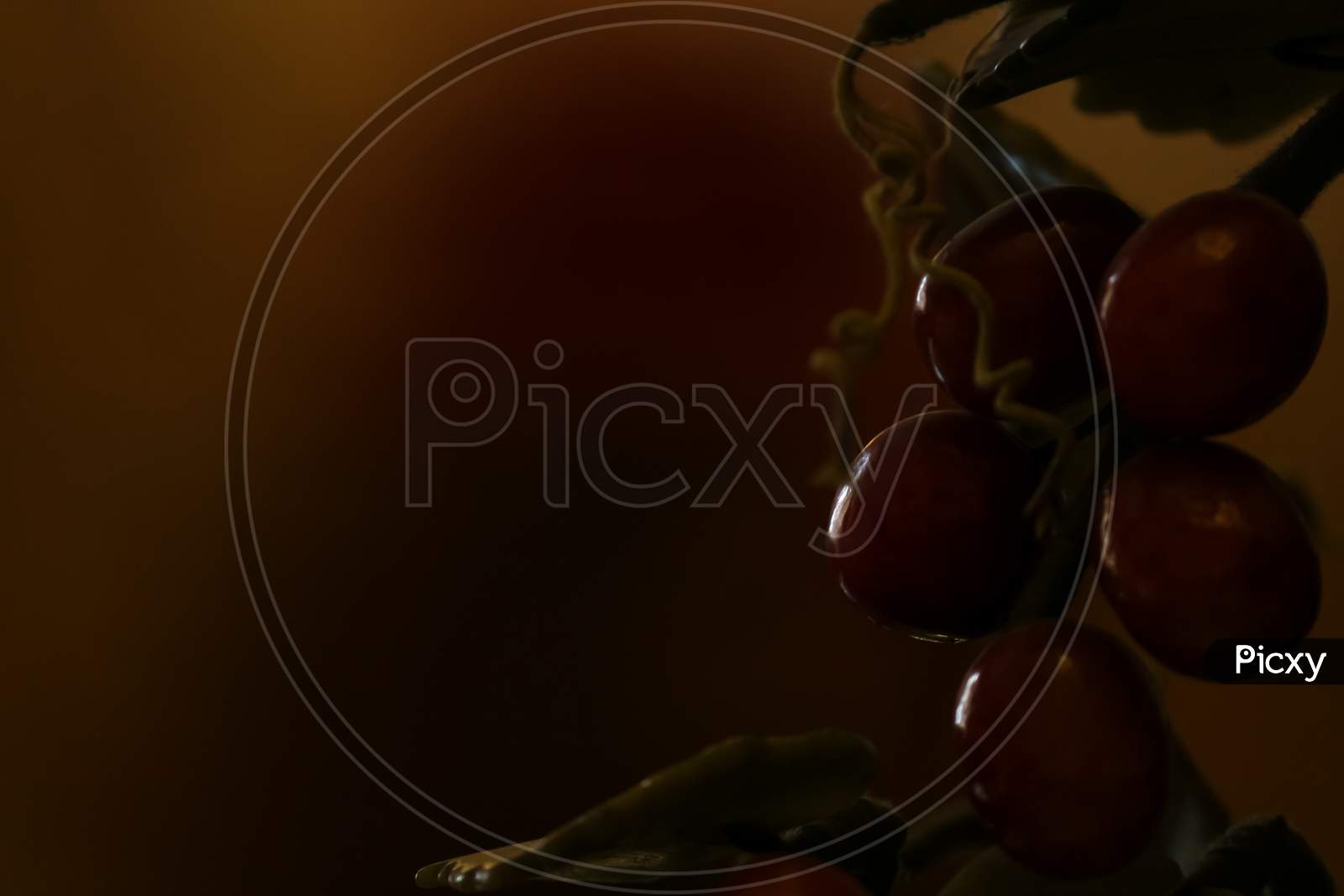 beautiful abstract view of red wine grapes