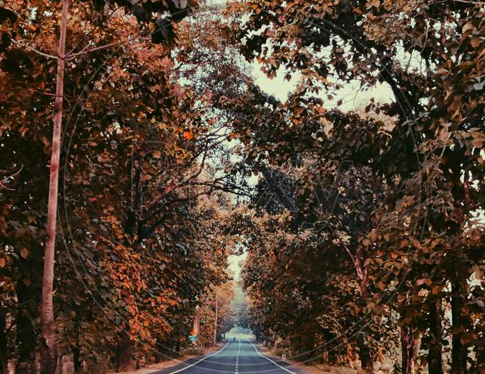 North Bengal road