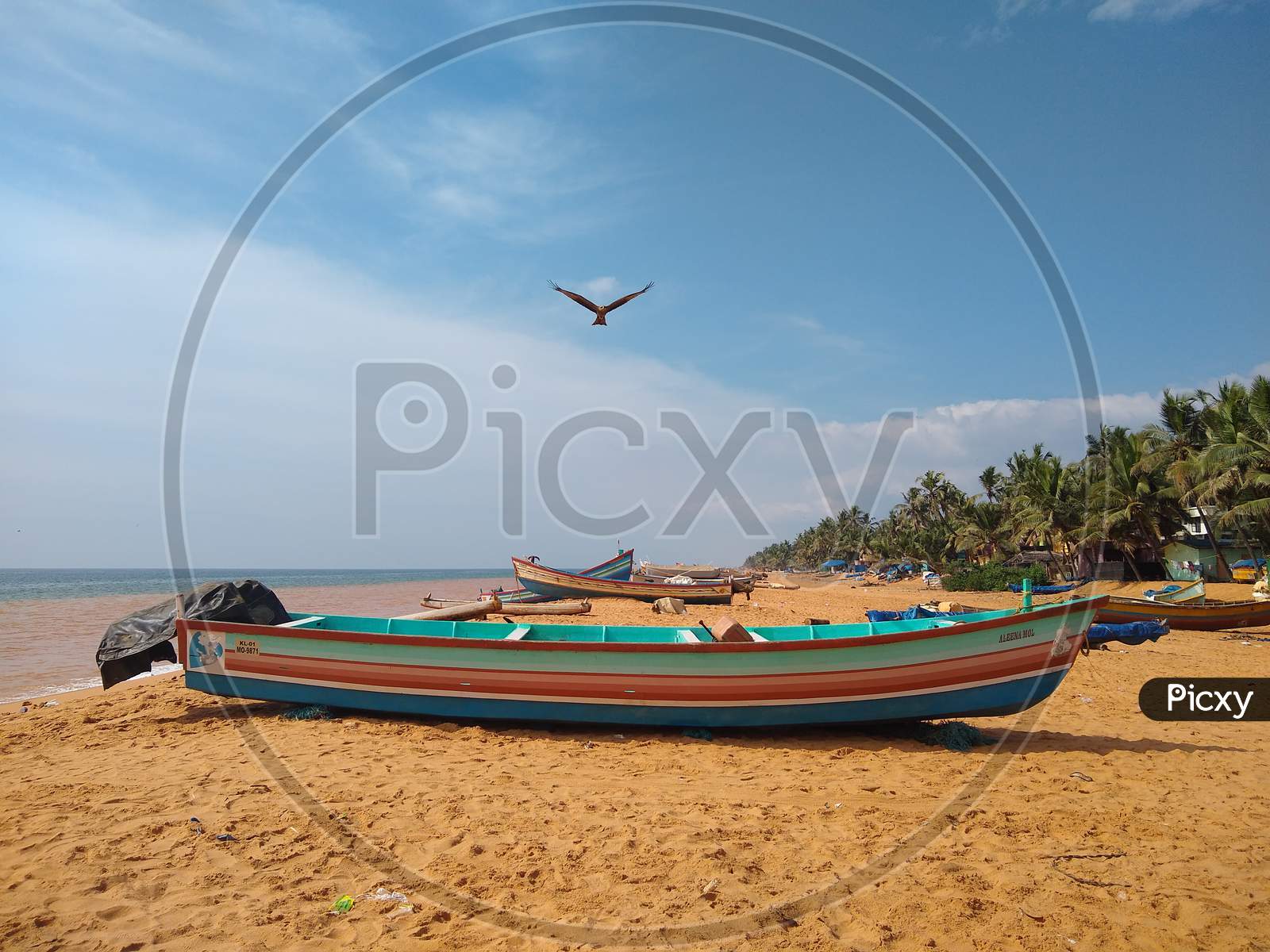 Fishing boat on the seashore, blue sky and flying eagle