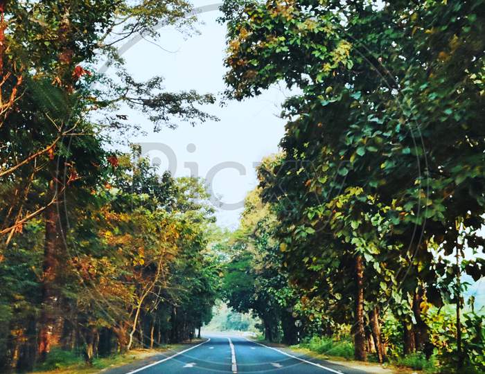 North Bengal road