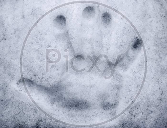 Hand Imprint In Fresh White Snow During Winter.