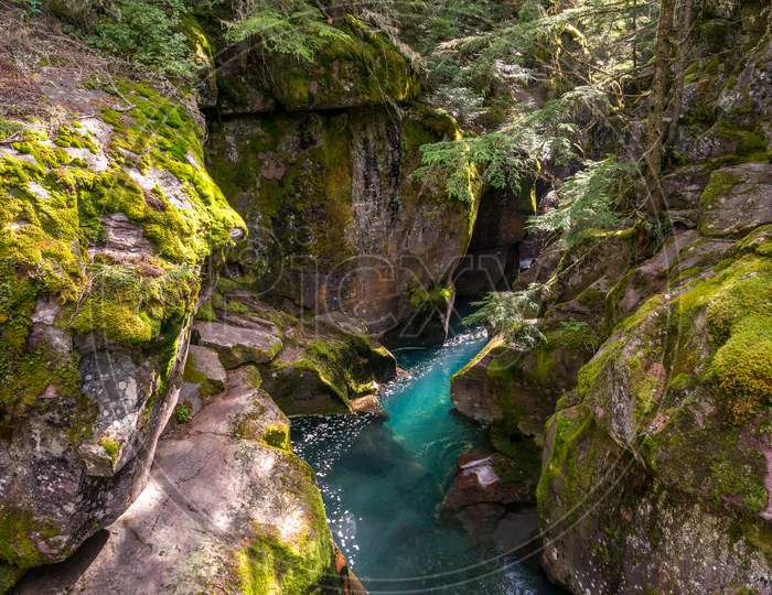 Looking Into Avalanche Creek